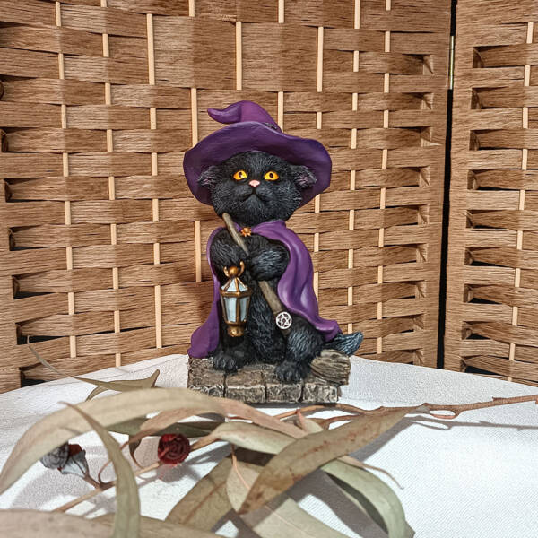 Gato nut con escoba