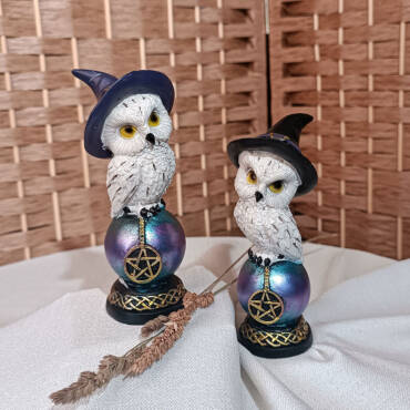 Búhos con pentagrama